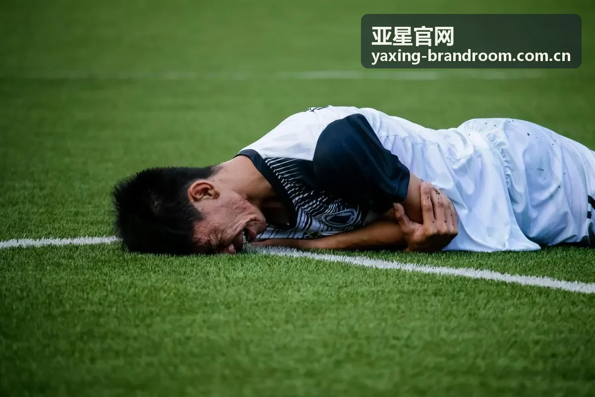 亚星官网官方内容说明资料